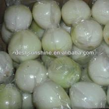 2012 new crop fresh peeled onion vacuum packed