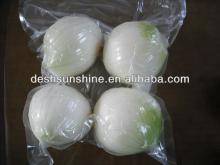 New crop vacuum packed peeled onion-japan market