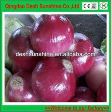 bulk small red onions, best price for red onion