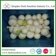 China Supplier for Fresh Flat Cut Peeled Onion