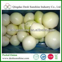 China Bulk Vaccum Packed Peeled Onion Market Price