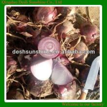 Cheapest Bulk Red Onion Price in China