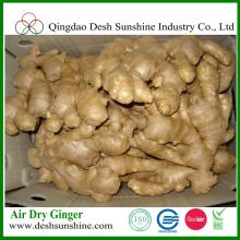 air-dried ginger exporter factory