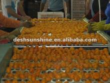 fresh honey-sweet mandarin