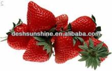 IQF new crop wild frozen bulk strawberry fruit