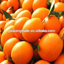 2014Fresh big Fresh Oranges