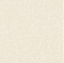 Hall/Lobby Used Linestone Porcelain Tile Pepper Salt