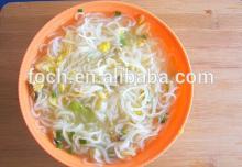 ISO Certificated Supplier Health Functional Food Shirataki Konjac noodles/knots