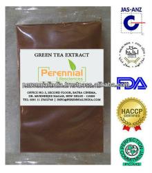 Halal Green Tea Polyphenol 50% extract