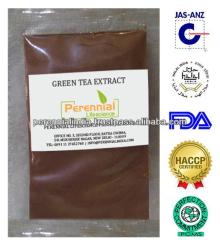 Green tea extract 50% EGCG, 90% Polyphenols