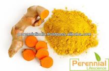 Turmeric Indian herb Extract Standardized 95%