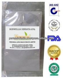 Boswellia Serrata Extract Boswellic acid / GMP Standardize Boswellia Extract 85% / Sallai Guggul Ext