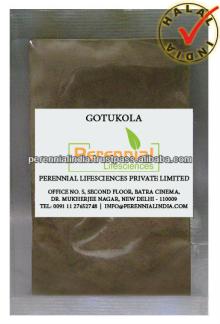  Gotu   Kola   Extract  / GMP Centella Asiatica 50%  Asiaticoside s HPLC / Halal Centella Asiatica  Extract 