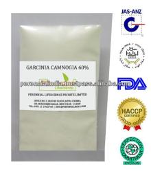 Garcinia Combogia 50%, 60%, 70% HCA / Garcinia Combogia Hydroxycitric Acid Powder/ Natural Garcinia