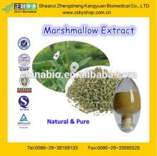 GMP Certified Factory Supply Natural Althaea Rosa Leaf Extract