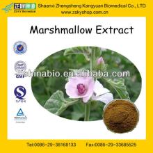 GMP Factory Supply Marshmallow Root Extract Powder