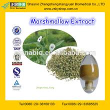 GMP Factory Supply Marshmallow Powder/Marshmall Powder Extract/Althaea Officinalis Powder Extract