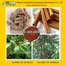 50% Polyphenols Cinnamon Bark Extract for Healthcare Products