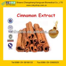 Cinnamon Extract Powder