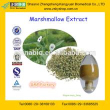 Marshmallow Extract(Althaea Rosea Extract/Hollyhock Extract Powder/Althaea officinalis Powder Extrac
