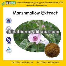 GMP Factory Supply 100% Natural Marshmallow Extract