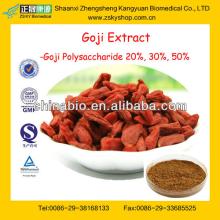 GMP Manufacturer Supply Natural Goji Berry Extract Powder