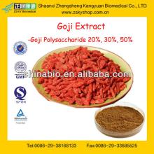 GMP Manufacturer Supply Natural 10%-50% Goji Berry Extract