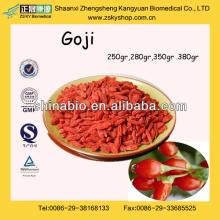 Top Quality Fresh Goji Berries From GMP Assessment Supplier