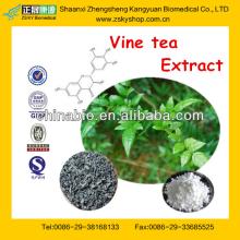 Natural Vine Tea Extract Dihydromyricetin50%,80%, 90%, 98%