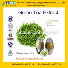 High Quality Green Tea Extract with Tea polyphenols