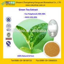 GMP Certified Manufacturer Supply 100% Natural Green Tea Extract Tea Polyphenols