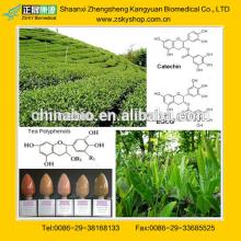 Best Green Tea Extract Powder Natural Tea Polyphenol made in China
