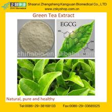 Green Tea Extraction Polyphenols Powder 50%-98%/EGCG/Gallate
