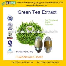 Hot sale Green Tea  Extract  Powder( Camellia   sinensis   Extract  Powder)