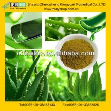 GMP Certified Factory Supply Natural  Aloin   Aloe   Vera   Extract 