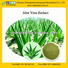 GMP Factory Supply Natural Aloe Vera Gel Extract Powder
