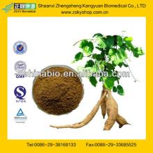 GMP Factory Supply Kudzu Root Extract