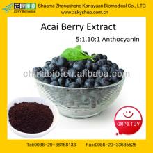 antioxidant keepling slim Natural Acai Berry Extract