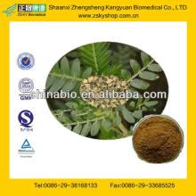 GMP Manufacturer Supply  Natural   Tribulus   Terrestris  Extract