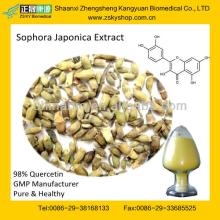 High Quality Quercetin from GMP Supplier