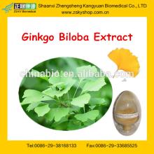 High quality Ginkgo Biloba Extract for Improving Memory