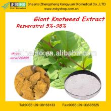 GMP&BV Manufacturer supply Best Resveratrol
