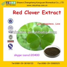 Hot selling Red Clover Extract