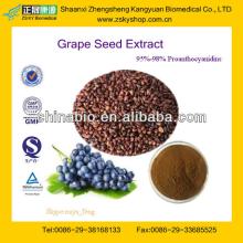 Water Soluble Proanthocyanidin 98% from Grape Seed Extract