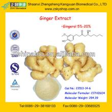 GMP Certified Manufacturer Supply  Natural   Ginger   Extract 