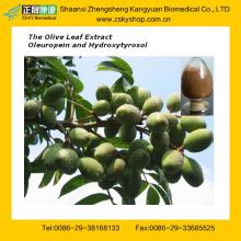 GMP Certified Manufacturer Supply High quality Oleuropein & Hydroxytyrosol from The Olive Leaf Extra