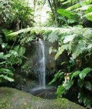 Natural Mineral Water Cristalina do Monte