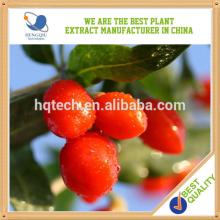 Natural and Organic goji berry herb extract made in China