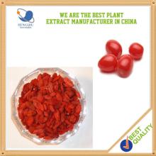 High Quality Dried Organic Goji Berry Barbury Wolfberry Fruit Extract
