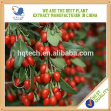 China organic fertilizer for goji berry herb extract